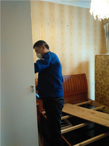 �ؑc����ȩ