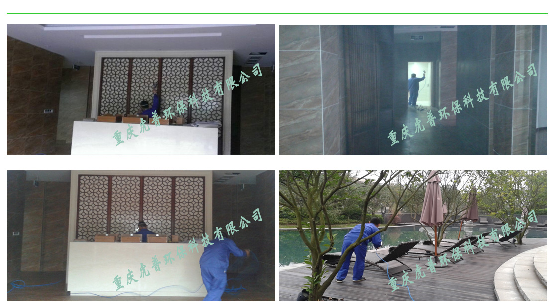 �������Z�ó���ȩ